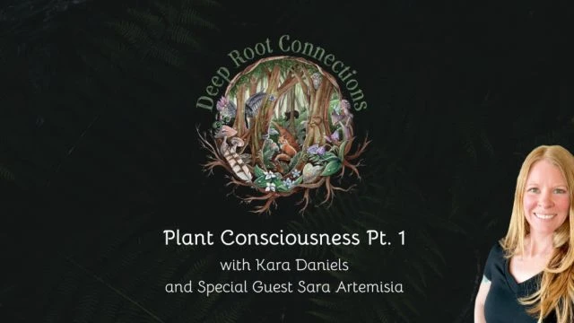 Plant Consciousness Pt 1