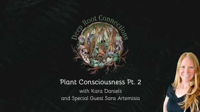 Plant Consciousness Pt 2