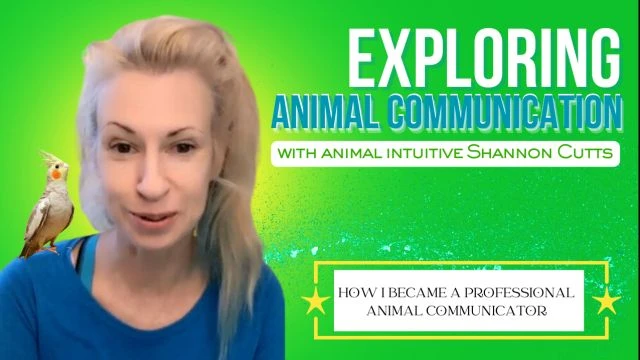 How I Became a Professional Animal Communicator