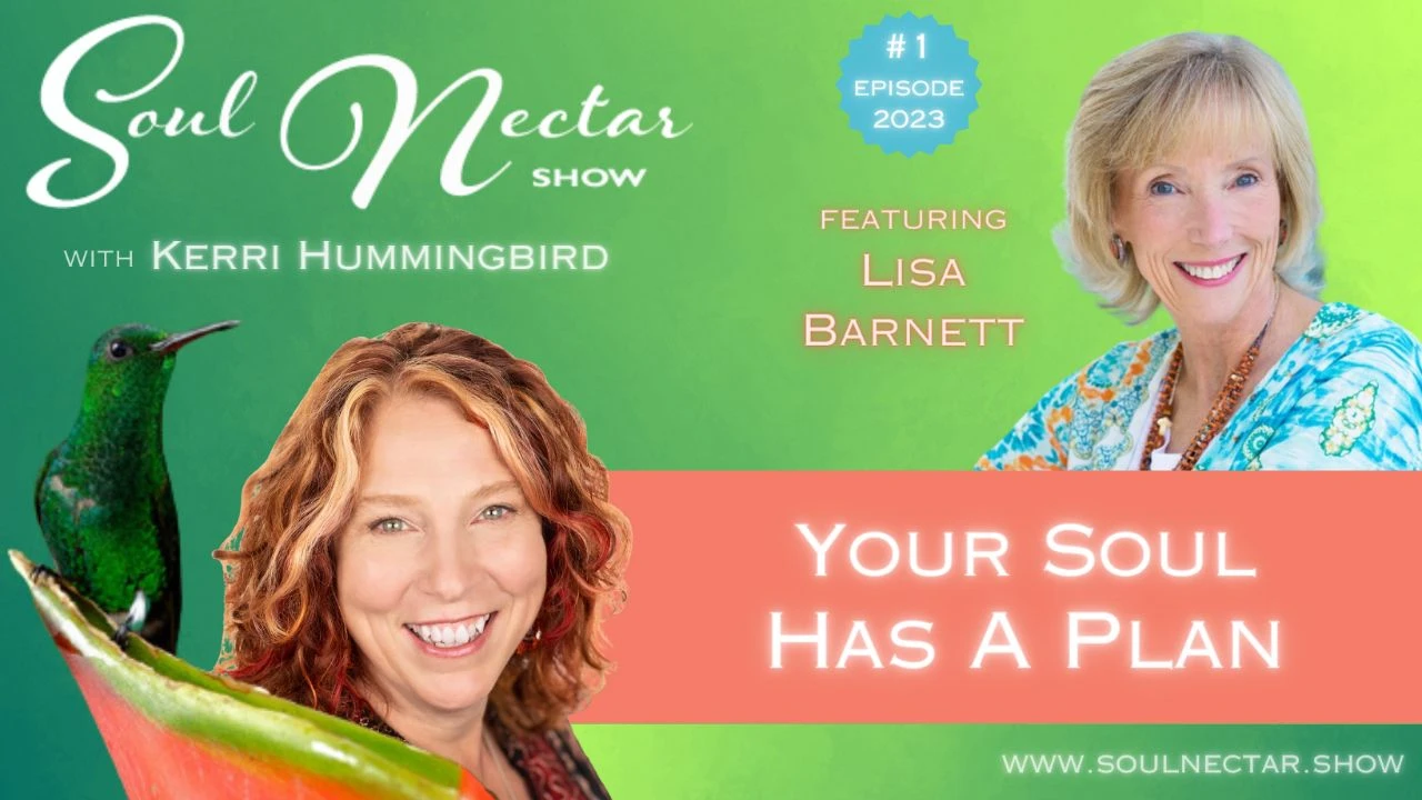 #1 Episode of 2023 - Your Soul Has a Plan with Lisa Barnett on Soul Nectar Show
